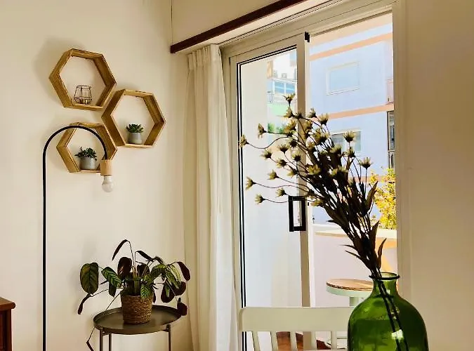 Encantador En 滨海托萨